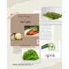 Karty edukacyjne WARZYWA - pdf