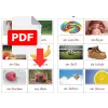 karty edukacyjne niemieckie - PDF