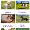 Karty edukacyjne ZWIERZĘTA na wsi - pdf