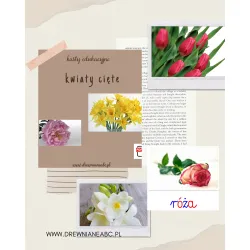 Karty edukacyjne KWIATY CIĘTE - pdf