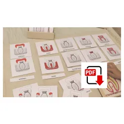 Karty trójdzielne budowa ZĄB - pdf