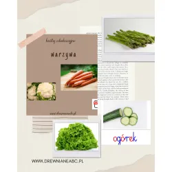 Karty edukacyjne WARZYWA - pdf