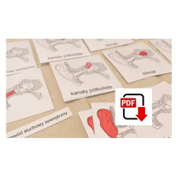 Karty trójdzielne budowa UCHA - pdf