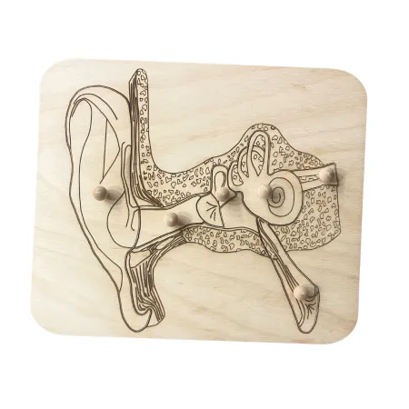 Drewniane puzzle - budowa UCHA