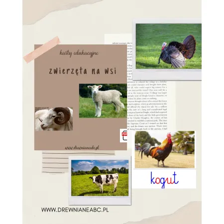 Karty edukacyjne ZWIERZĘTA na wsi - pdf