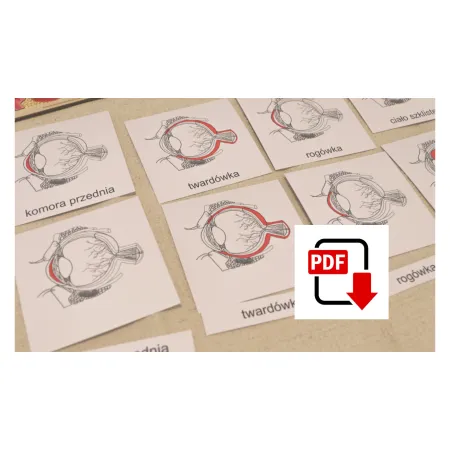 Karty trójdzielne budowa OKA - pdf