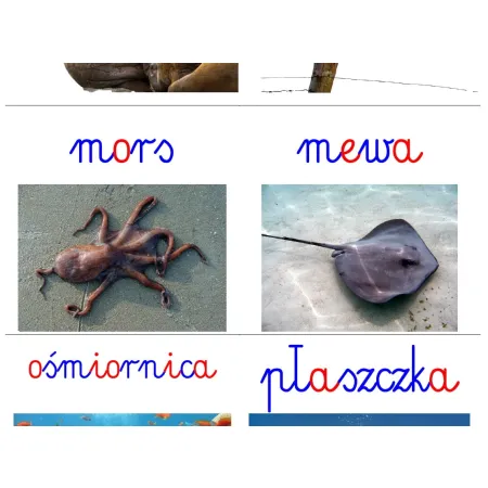 Karty edukacyjne MORZE - pdf