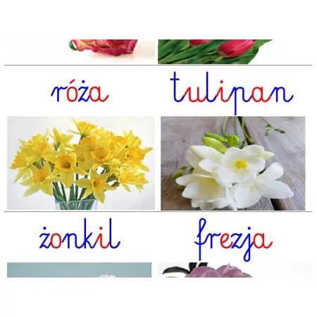 Karty edukacyjne KWIATY CIĘTE - pdf