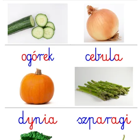 Karty edukacyjne WARZYWA - pdf