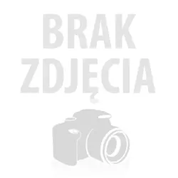 Wysypywanka ze sklejki - motyl