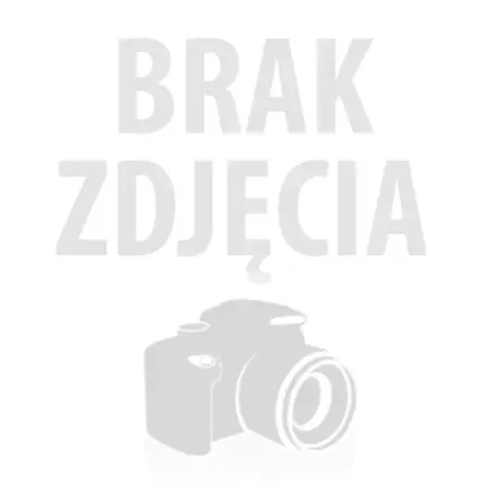Wysypywanka ze sklejki - motyl